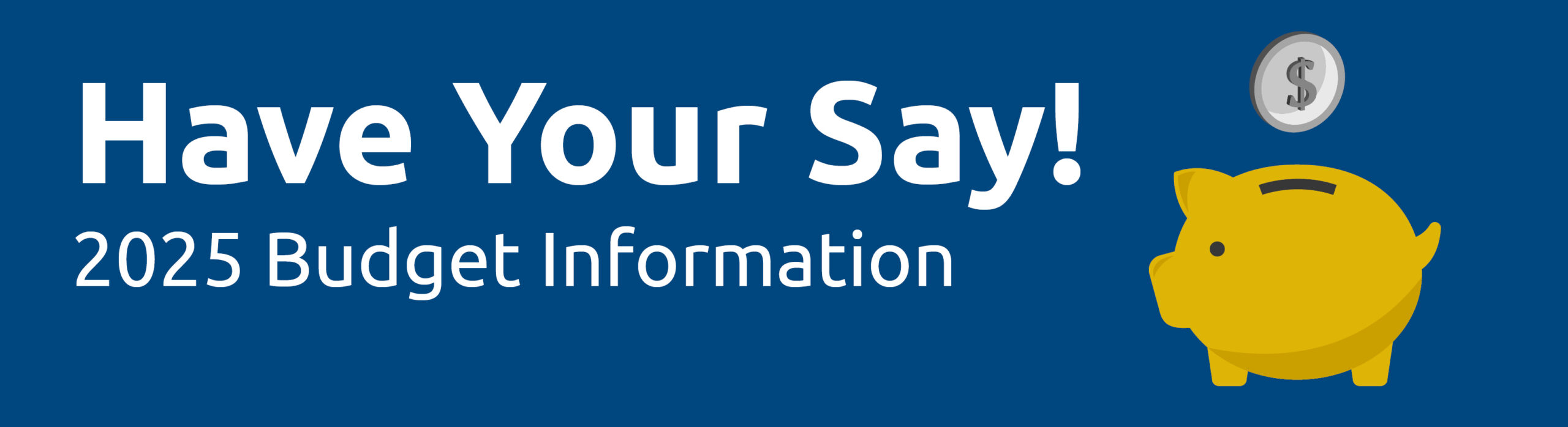 2025 Budget Information Banner