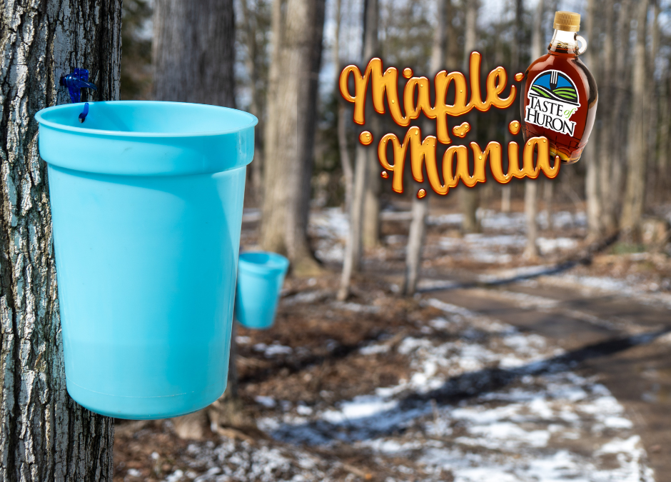 Maple Mania Returns to Huron, March 21 to 23