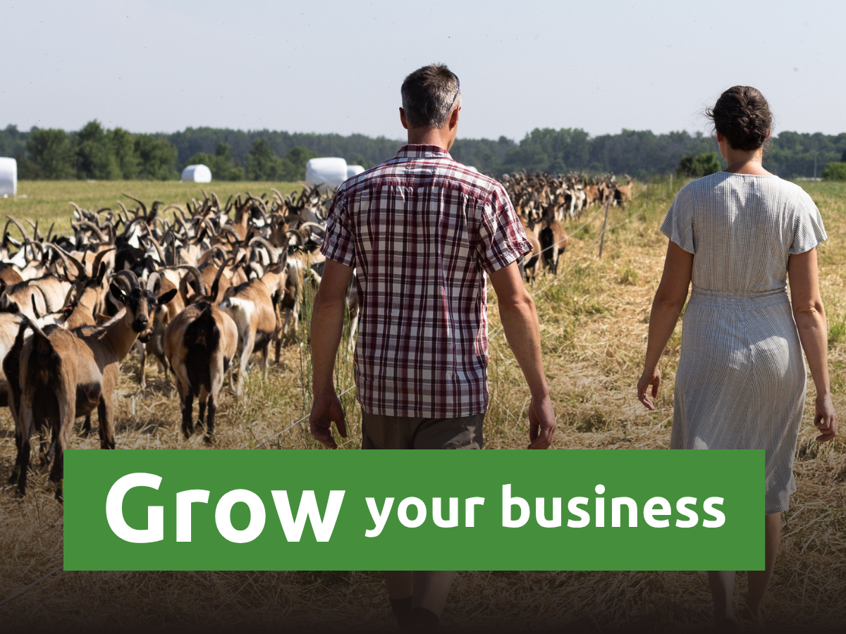 HBC Grow Your Business