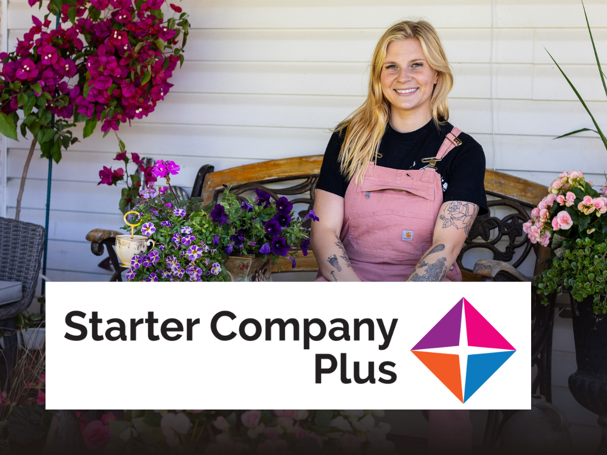 Starter Company Plus